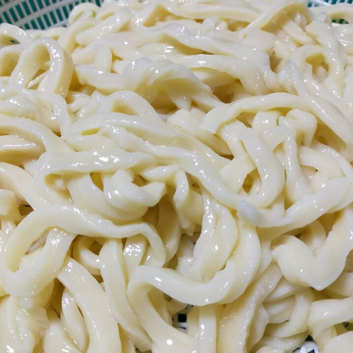 豆乳入り　手打ちうどん